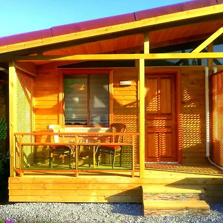 Mavi Yengec And Orhaniye