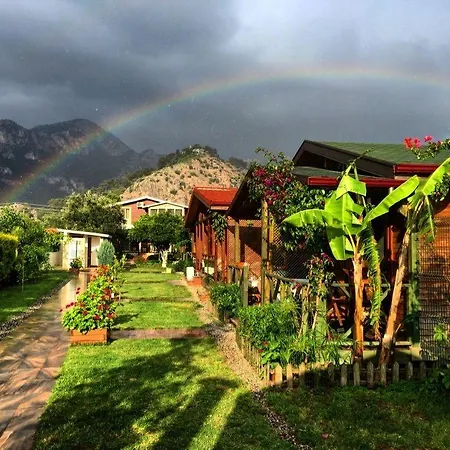 Mavi Yengec And Orhaniye