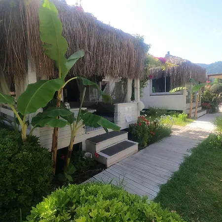 Mavi Yengec And Szálloda Orhaniye